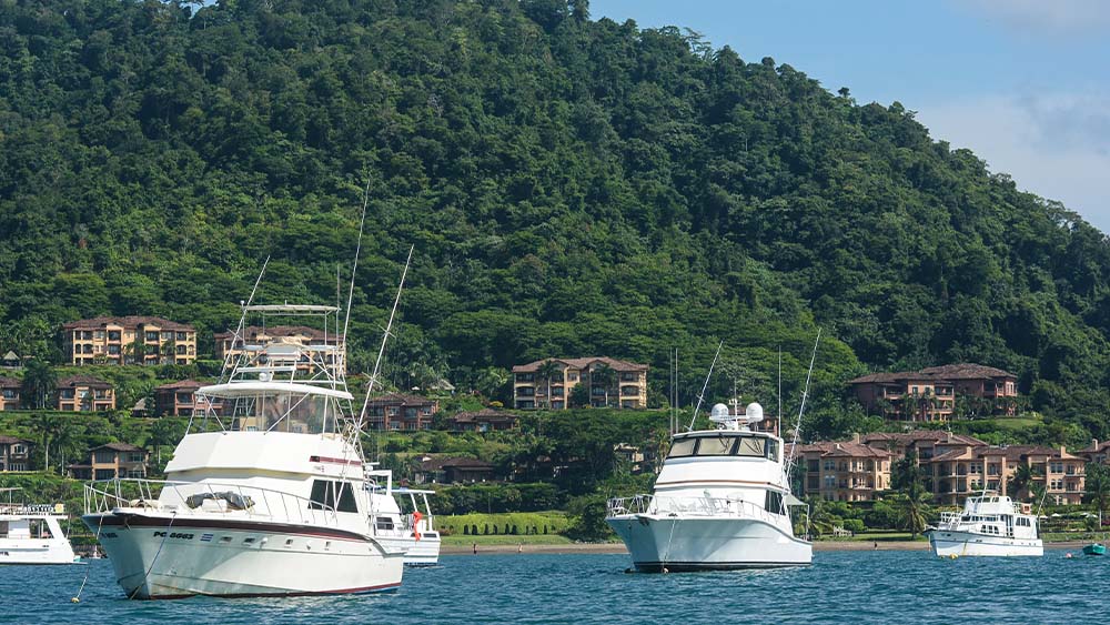 Yachts in Herradura Bay